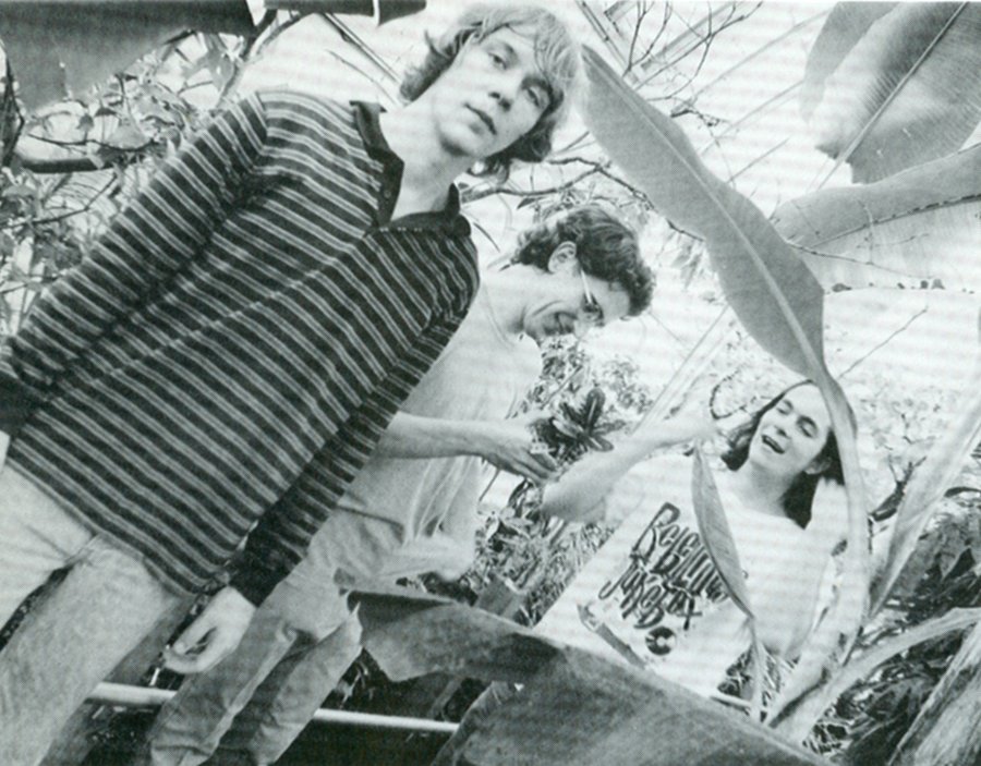 https://www.subpop.com/artists/sebadoh/press